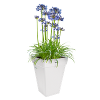 loft urban carré haut 30cm blanc